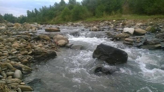 11911971_10203355850016048_383386279_n